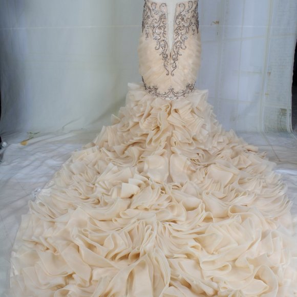 Plus Size fit to flare wedding gown with bling from Darius Couture - Picture 2 of 2